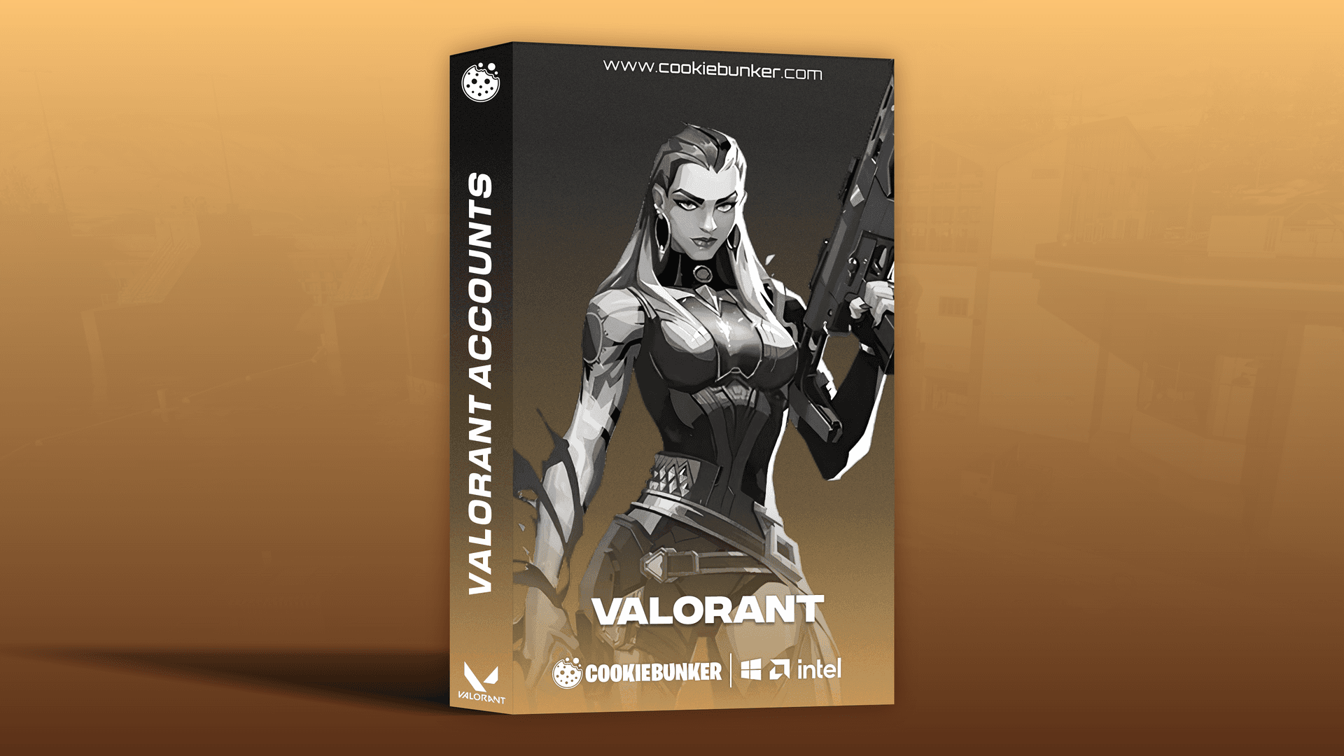 Valorant Accounts